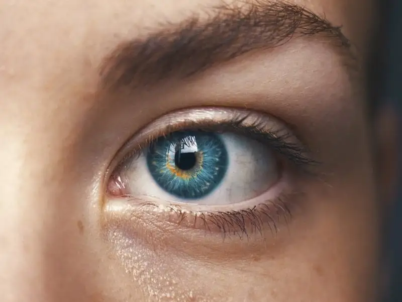 Human-centric wellness dizajn