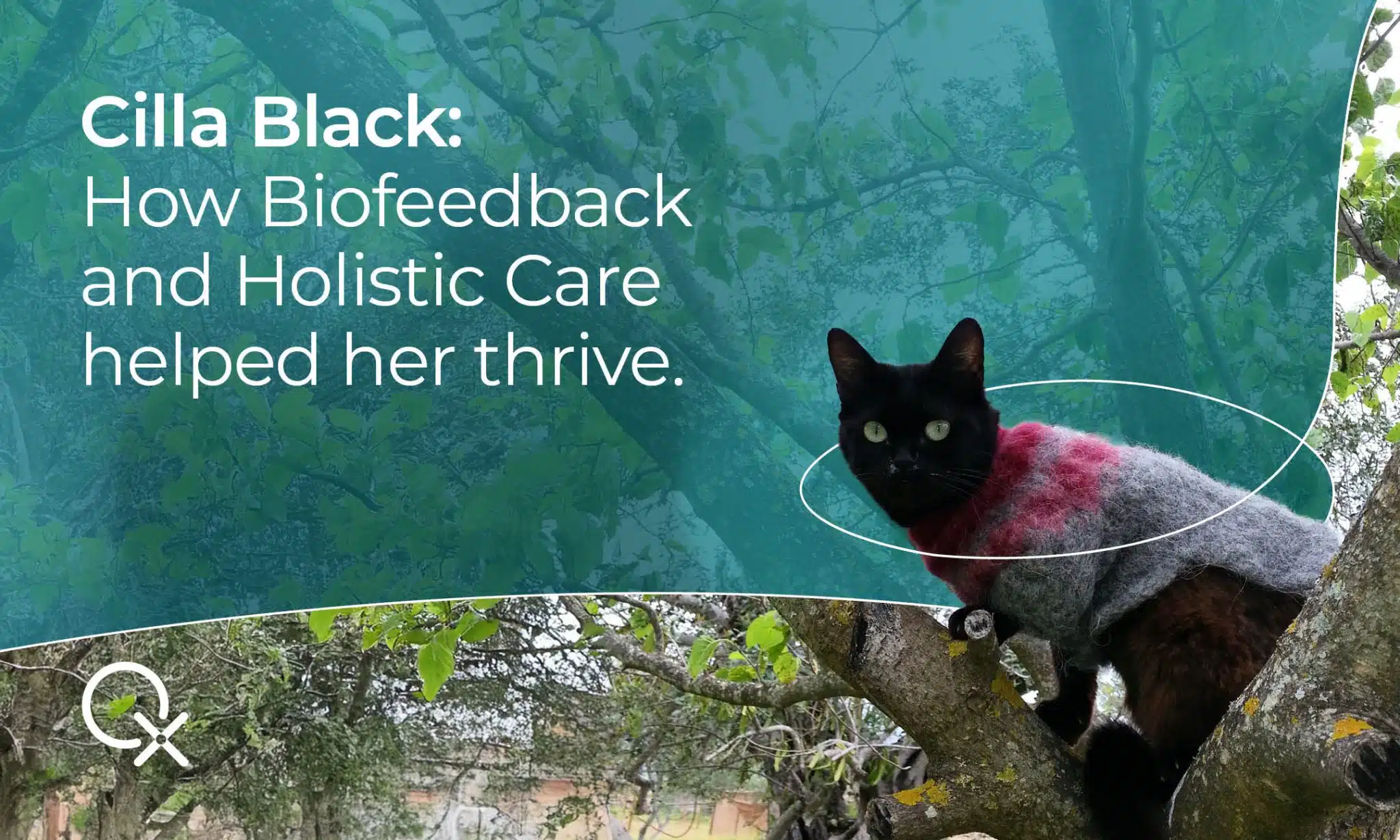 Cilla Black: Kako su joj biofeedback i holistička skrb pomogli da procvjeta